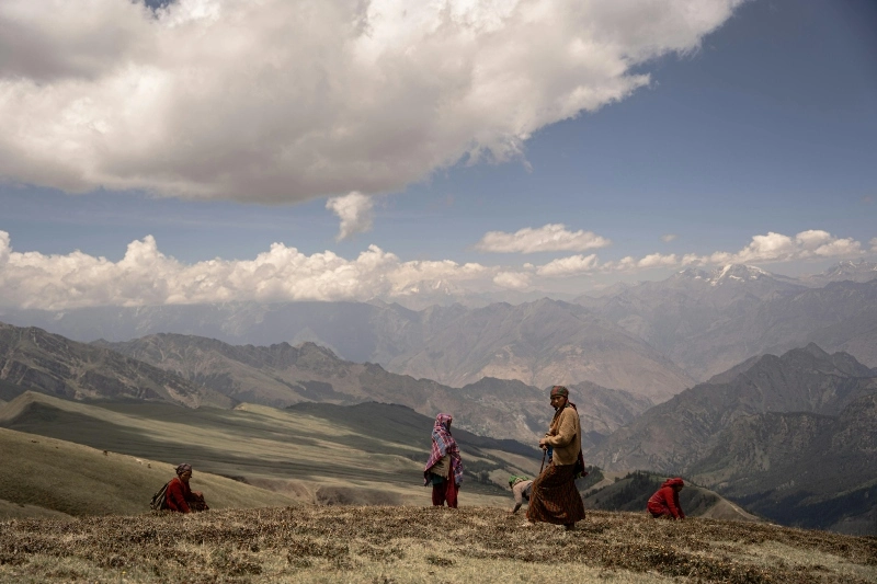 Upper Dolpo vs Lower Dolpo Trek: What Is the Actual Difference?